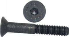 Eneron M24x100 imbus vijci klasa 10.9 DIN 7991 NG dio 10 kom.