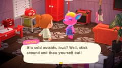 Nintendo Animal Crossing: New Horizons (Switch)