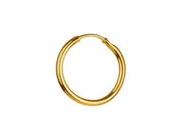 Seijou Zlatne naušnice, male obručice za žene i muškarce, srebro 925, 1 cm