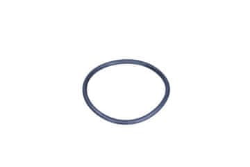 EBI BRTVA TERMOSTATA VW PASSAT 2.5TDI 03-
