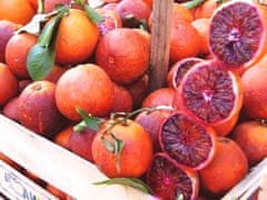 Agrisicilia Džem od crvene naranče 360g Italija Marmelada Sicilija