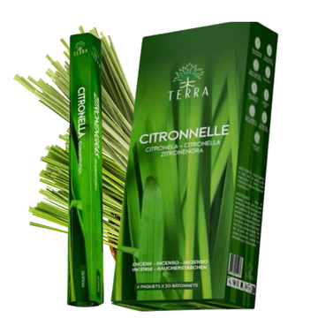 TERRA Citronella štapići mirisa 20 kom. Citronella
