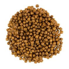 Premium sucha karma dla kota junior kitten kurczak indyk 2kg