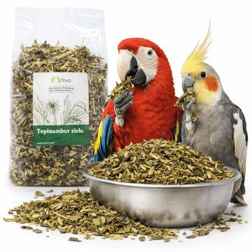 Activon Jeruzalemska artičoka za papige - prirodni biljni dodatak prehrani | 150 g