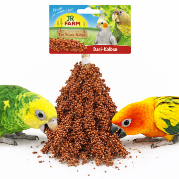 JR Farm Dari za uši za hrskanje za sve papige 100g