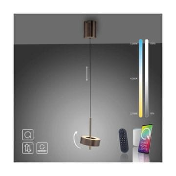 PAUL NEUHAUS Viseća lampa Q-ROTATE 2247-34