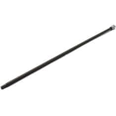 BGS technic TORX dugi T30 x 400 mm bit ekstra dugi, BGS-Njemačka