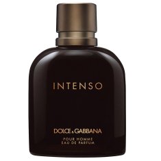 Dolce & Gabbana Intenso Pour Homme parfemska voda u spreju 125 ml