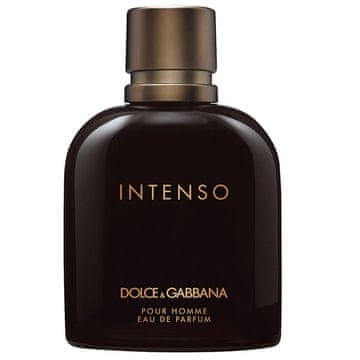 Dolce & Gabbana Intenso Pour Homme parfemska voda u spreju 125 ml