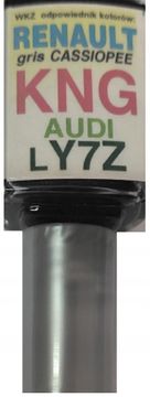 POPRAVAK OGREBOTINA NA BOJI AUTOMOBILA AUDI VW LY7Z Y5 METEOR ARA