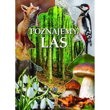 Fenix UČENJE O ŠUMI ALBUM VODIČ KROZ PRIRODU TVRDI UVEZ 32 STRANICE