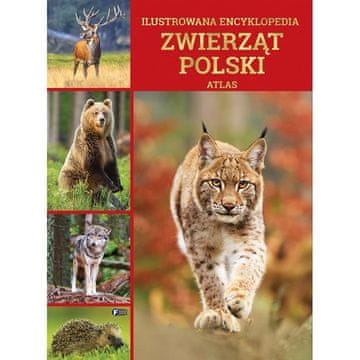 Fenix ILUSTRIRANA ENCIKLOPEDIJA ŽIVOTINJA POLJSKI ALBUM ATLAS TVRDI UVEZ 352 STRANICE