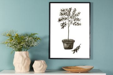 Venture Design AB Poster Maslina 50x70 cm Zelena