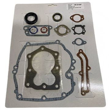BRIGGS STRATTON Komplet brtvi motora 590508 794307 497316