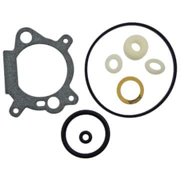 Komplet za popravak rasplinjača BRIGGS STRATTON 498260 498261 398183 490937 493762