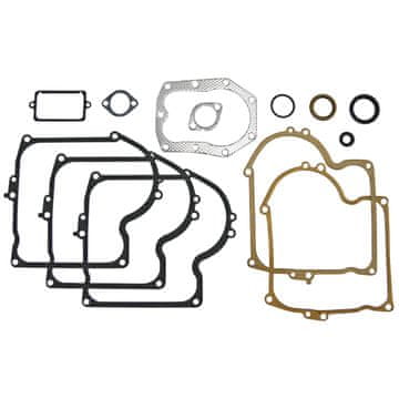 Komplet brtvi motora za Briggs 30270193
