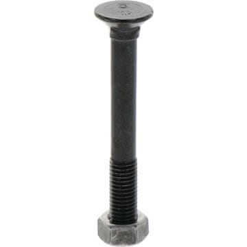 Vijak za plug M12x1,75 duljine 100 mm 10,9 DIN 608 za plug 12100810/25 x25 kom.