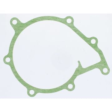 Granit Brtva vodene pumpe FENDT XYLON F524200610010
