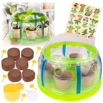 JOKOMISIADA Komplet za uzgoj biljaka Little Gardener's Organic Greenhouse u staklenicima ZA5776