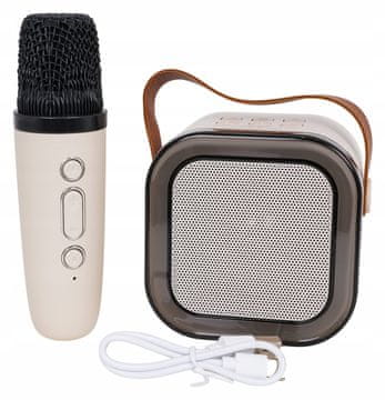 RAMIZ Set mikrofona i zvučnika za karaoke, stabilna Bluetooth veza 5 0 Značajke