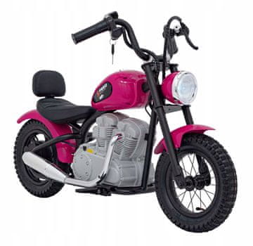 RAMIZ SPEED Power Ružičasti indikator punjenja 250W bezčetkično motorno vozilo
