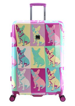 Saxoline Bulldog Color L kofer