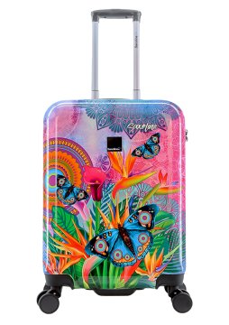 Saxoline Mali kofer Butterfly Nature