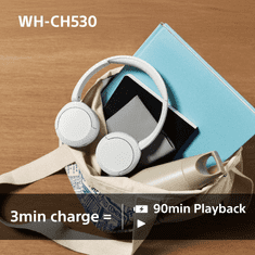 Sony WH-CH530 bežične slušalice, mint zelene (WHCH530G.CE7)