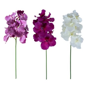 Homestar Orhideja Flowerly H60cm mix