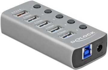 Northix Delock USB-A čvorište s 5 USB-A priključaka, 5 Gbps čvorište s prekidačem i osvjetljenjem