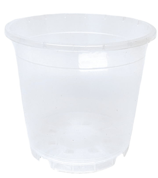 Import Doniczka produkcyjna transparentna Amazone 15 cm