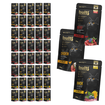 B.U. Superfood mokra hrana za mačke Mix of Flavors vrećica 40x100g