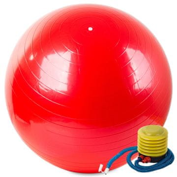GR Gimnastička lopta + pumpa 65 cm za rehabilitaciju