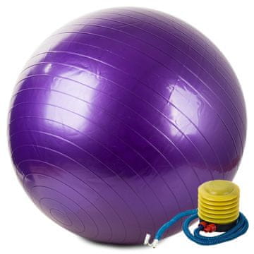 GR Gimnastička lopta + pumpa 65 cm za rehabilitaciju