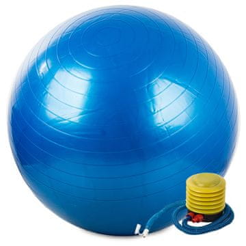 GR Gimnastička lopta + pumpa 65 cm za rehabilitaciju