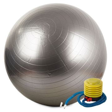 GR Gimnastička lopta + pumpa 65 cm za rehabilitaciju