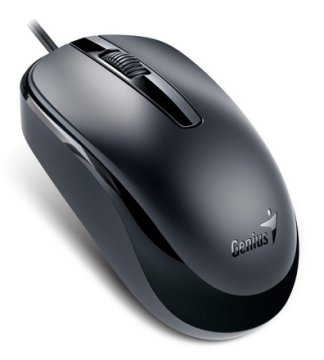 Genius Računalni miš DX-120 31010105106