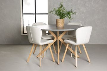 Venture Design AB Blagovaonski set Piazza stol za blagovanje i Lilja stolice za blagovanje 120x75 cm siva i bež