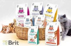 Brit Care Cat Grain-Free Kitten Zdrav rast i razvoj Piletina i puretina 0,4 kg