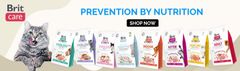 Brit Care Cat Grain-Free Kitten Zdrav rast i razvoj Piletina i puretina 0,4 kg