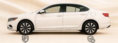 Carcommerce Kołpak uniwersalny samochodowy na koło 14 cali Fame Ring Mix 1 sztuka