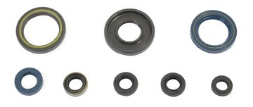 Athena KTM GS 250 (1984-89) komplet brtvi motora novo