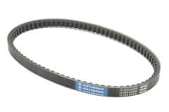 Athena POGONSKI REMEN (16.5x8.8x806) MALAGUTI CROSSER CR1 50 '95-'98, ATALA HACKER 50
