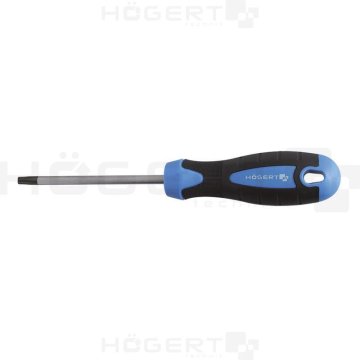 Ert Wkrętak torx T40x100 mm HT1S059
