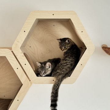 Box Šesterokutni zidni krevet za mačke