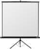 Reflecta Projekcijsko platno Crystalline Tripod 125 x 125 cm (87654)