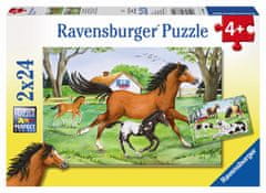 Ravensburger Slagalica Svijet konja, 2 x 24 komada