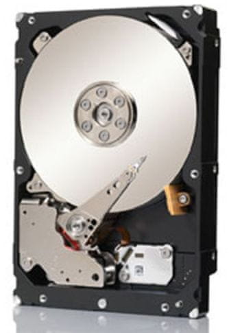 Seagate Tvrdi disk Constellation 2 TB, 7200 rpm, 128 MB, SAS (ST2000NM0023)