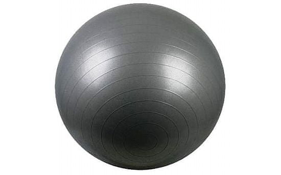 Avenio lopta za vježbanje, srebrna, 55 cm