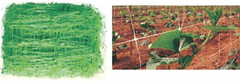 PVC mreža za potporu za biljke penjačice, 1,5x10m
